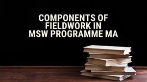 Components Of Fieldwork In Msw Programme MA on DD Gyandarshan - past program