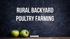 Rural Backyard Poultry Farming on DD Gyandarshan - past program