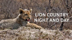 Lion Country: Night & Day on Animal Planet Hindi