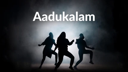 Aadukalam on Tamilan Television
