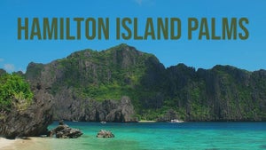 Hamilton Island Palms on Stingray Naturescape - future program