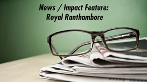 News / Impact Feature: Royal Ranthambore on India Today - past program