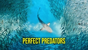 Perfect Predators on Discovery Science - past program