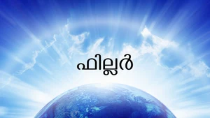 Filler on SVBC - past program