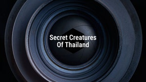 Secret Creatures Of Thailand on Animal Planet HD English - past program
