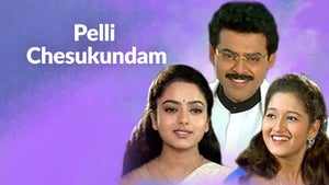 Pelli Chesukundam on Sun Gemini HD - future program