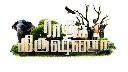 Radhakrishna on Colors Tamil