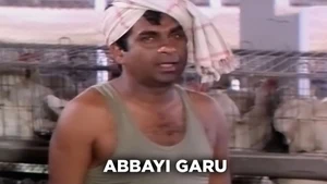 Abbayi Garu on ETV Cinema HD  - past program