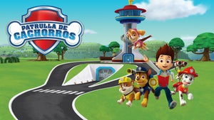 PAW Patrol on Nick Junior - past program
