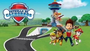 PAW Patrol on Colors Rishtey - past program
