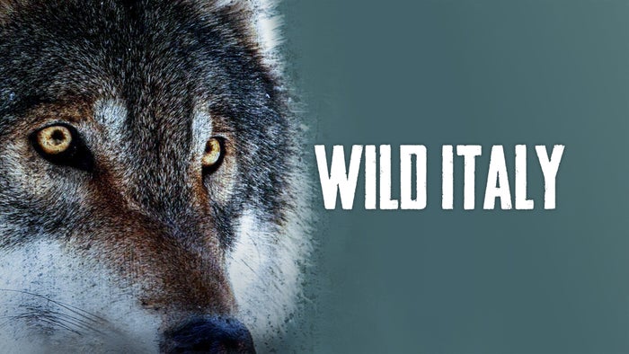 Wild Italy: Top Predators on JioTV