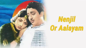 Nenjil Or Aalayam on Vasanth TV - past program