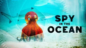 Spy in the Ocean on Sony BBC Earth SD - past program