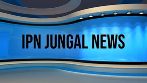 IPN Jungal News on IPN News - past program