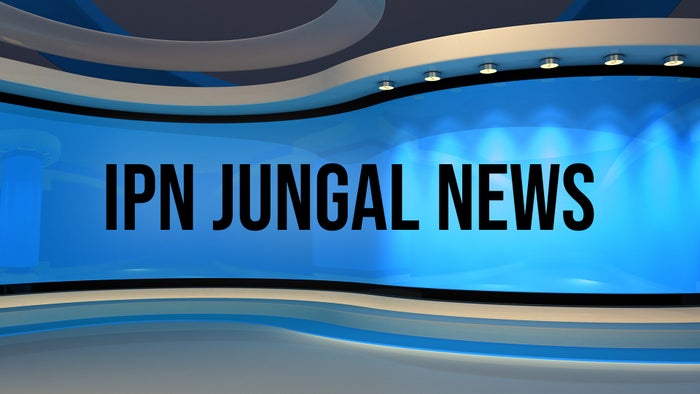 IPN Jungal News on JioTV