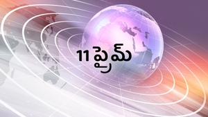 11 Prime on News11 - past program