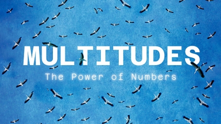 Multitudes: The Power of Numbers on Animal Planet HD Tamil