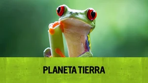 Planet Earth on Sony BBC Earth SD - past program