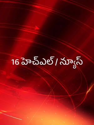 16 HL / News on 6 TV - past program