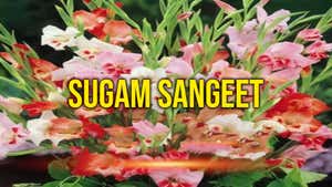 Sugam Sangeet on DD Girnar - past program
