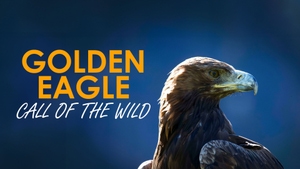 Golden Eagle: Call of the Wild on Animal Planet HD Hindi - past program
