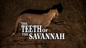 The Teeth of the Savannah on Animal Planet HD Hindi - past program