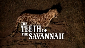 The Teeth of the Savannah on Animal Planet HD Hindi - past program
