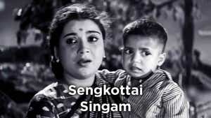 Sengkottai Singam on Vasanth TV - past program