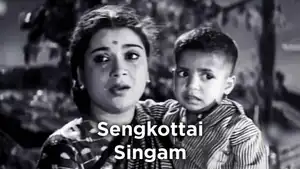 Sengkottai Singam on Vasanth TV - past program
