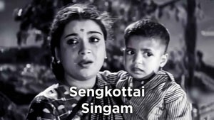 Sengkottai Singam on Vasanth TV - past program
