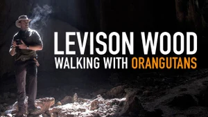 Levison Wood: Walking With Orangutans on Discovery Channel Hindi