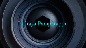 Indraya Paraparappu on Thanthi TV - past program