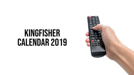 Kingfisher Calendar 2019 on Studio Yuva Alpha