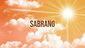 Sabrang on Om Shanti - past program