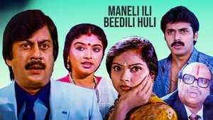 Maneli Ili Beedili Huli on Colors Kannada Cinema - future program