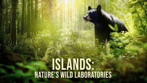 Islands: Nature's Wild Laboratories Episode 2 on Animal Planet HD English - past program