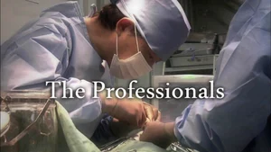 The Professionals on NHK World Japan - past program