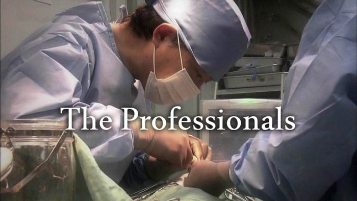 The Professionals on JioTV