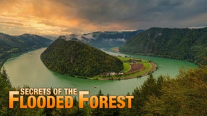 Italy: The Last Wilderness Year 1 on Animal Planet HD Hindi - past program