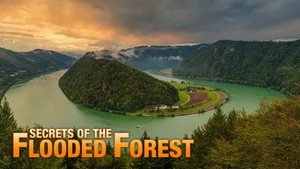 Italy: The Last Wilderness Year 1 on Animal Planet HD Hindi - past program