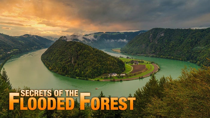 Italy: The Last Wilderness Year 1 on JioTV