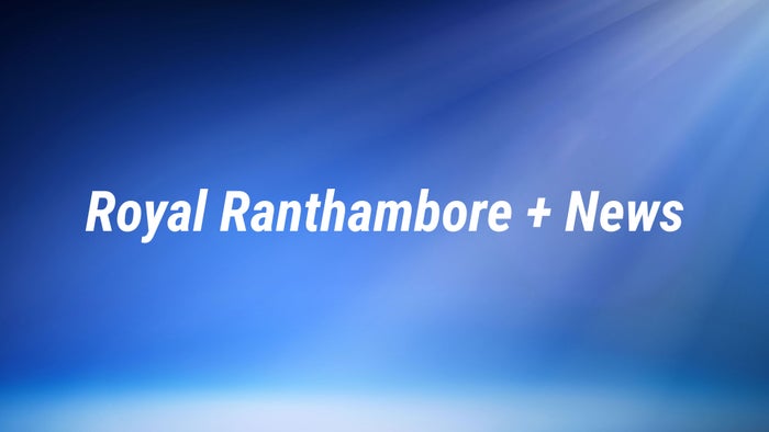 Royal Ranthambore + News on JioTV