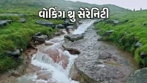 Walking Through Serenity on DD India - past program