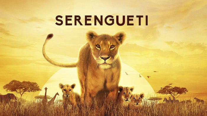 Serengeti Episode No.6 on JioTV