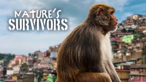 Nature's Survivors on Animal Planet Hindi