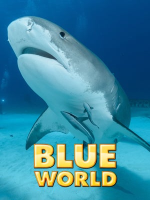 Jonathan Bird's Blue World Episode 1 on INWILD - past program