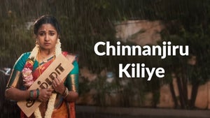 Chinnanjiru Kiliye Episode 209 on Zee Tamil HD - past program