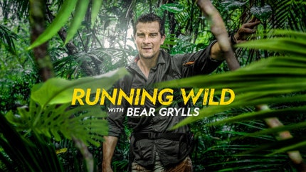 Running Wild With Bear Grylls on Discovery HD World - past program