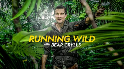 Running Wild With Bear Grylls on Discovery