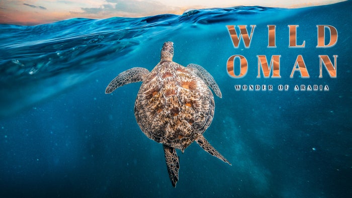 Wild Oman: Wonders of Arabia Episode No.1 on JioTV